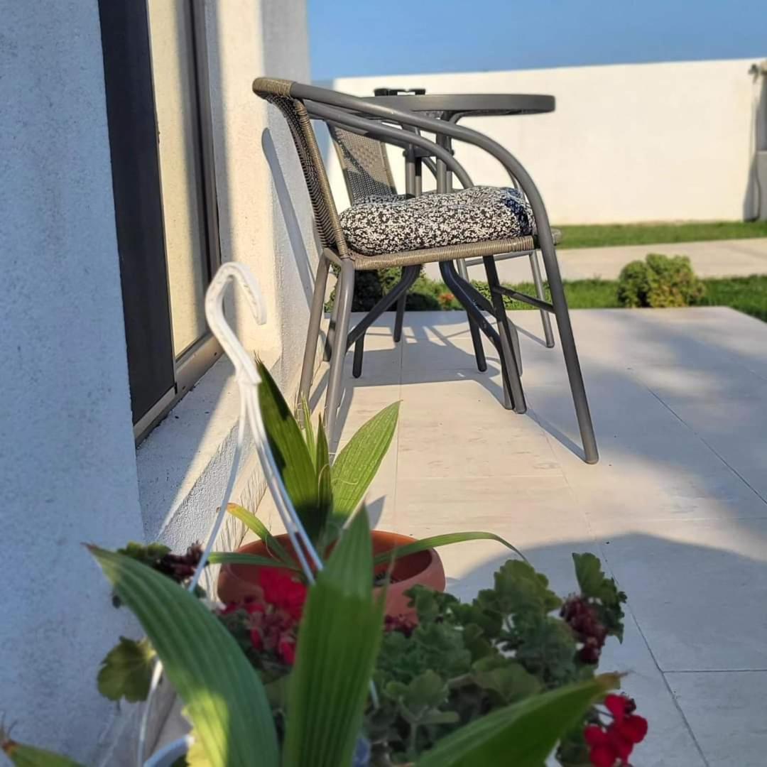 Casa Adiman Vama Veche Exterior foto